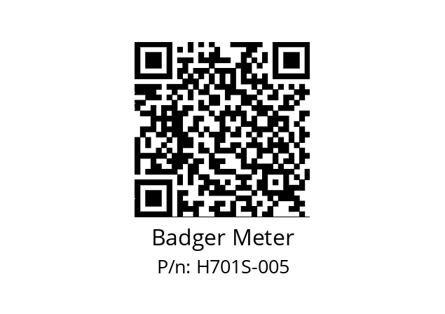   Badger Meter H701S-005