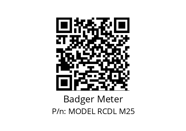   Badger Meter MODEL RCDL M25