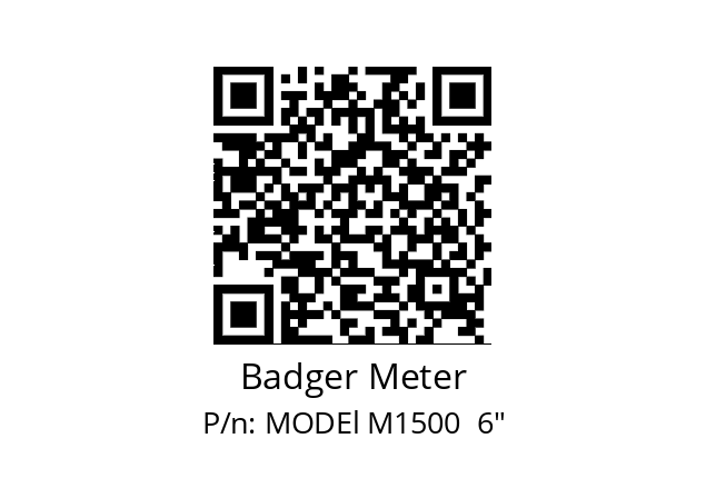   Badger Meter MODEl M1500  6"