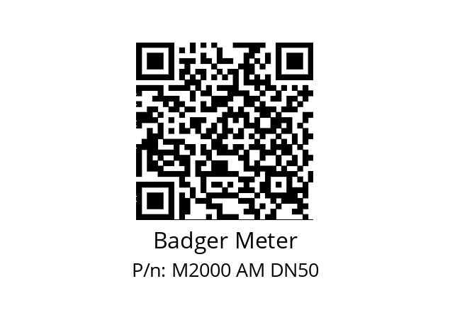   Badger Meter M2000 AM DN50