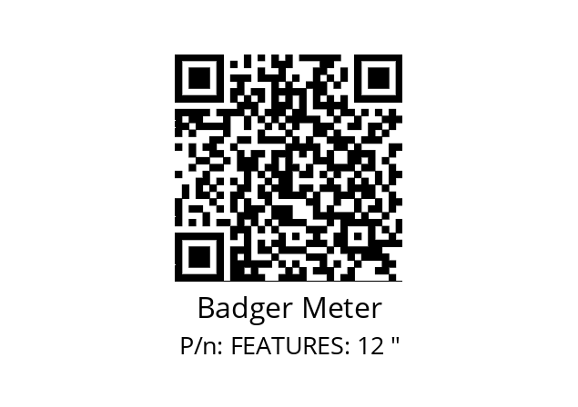   Badger Meter FEATURES: 12 "