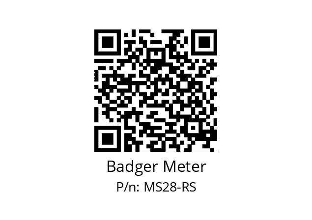   Badger Meter MS28-RS