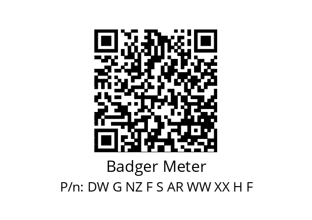   Badger Meter DW G NZ F S AR WW XX H F