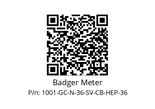   Badger Meter 1001-GC-N-36-SV-CB-HEP-36