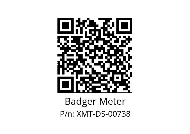   Badger Meter XMT-DS-00738