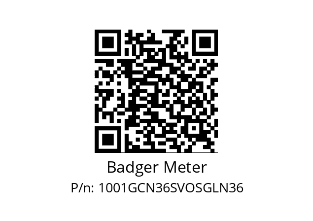   Badger Meter 1001GCN36SVOSGLN36