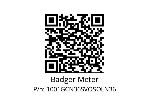   Badger Meter 1001GCN36SVOSOLN36