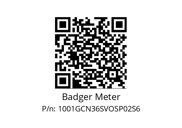   Badger Meter 1001GCN36SVOSP02S6