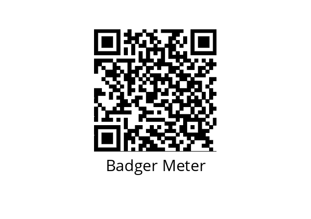  RCDL M25 Badger Meter 