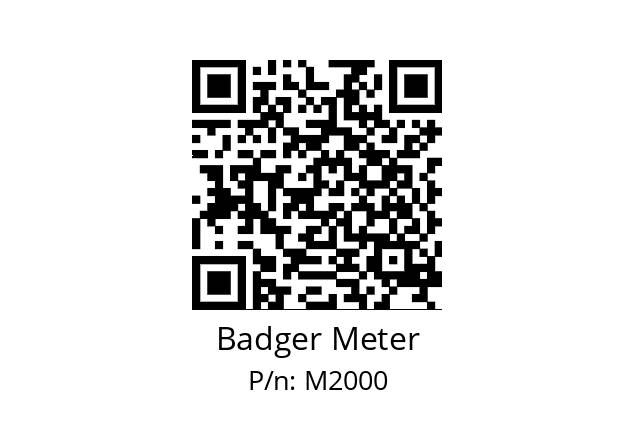   Badger Meter M2000