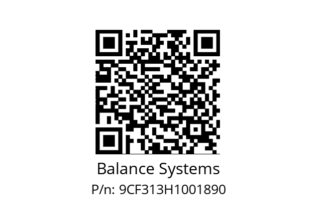   Balance Systems 9CF313H1001890