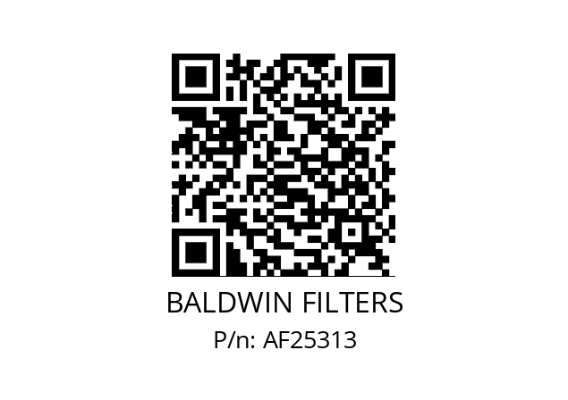   BALDWIN FILTERS AF25313