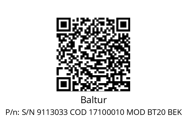   Baltur S/N 9113033 COD 17100010 MOD BT20 BEK