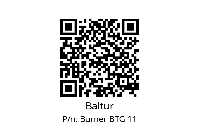   Baltur Burner BTG 11