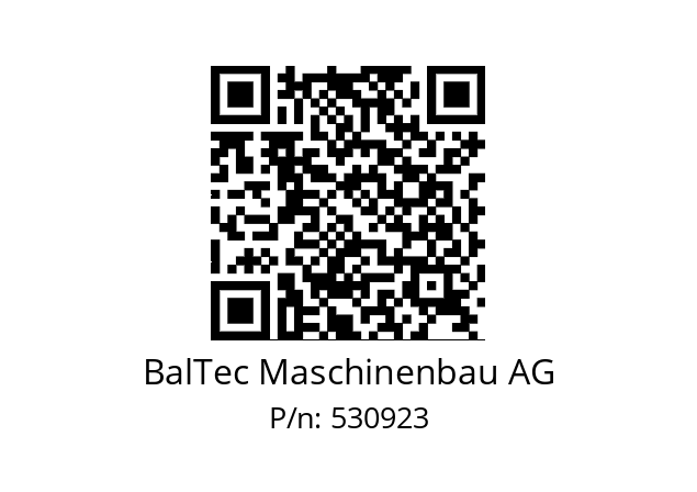   BalTec Maschinenbau AG 530923