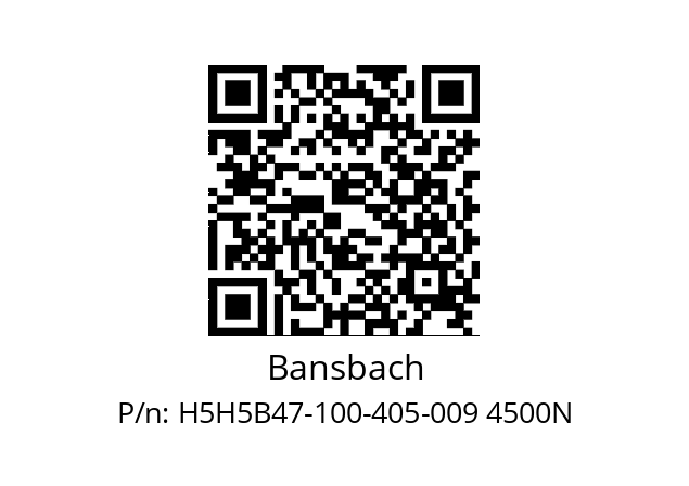   Bansbach H5H5B47-100-405-009 4500N