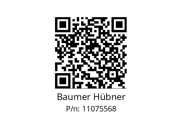   Baumer Hübner 11075568