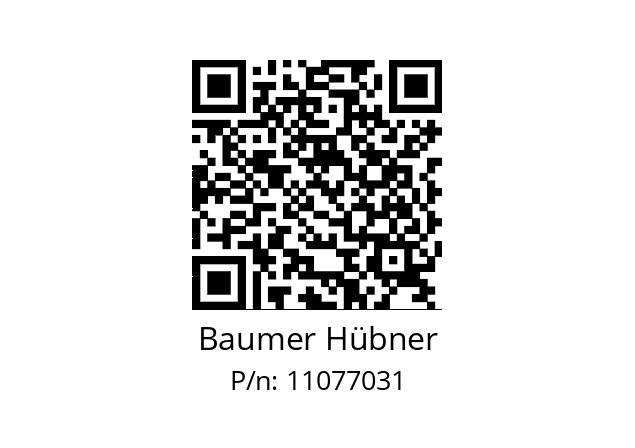   Baumer Hübner 11077031