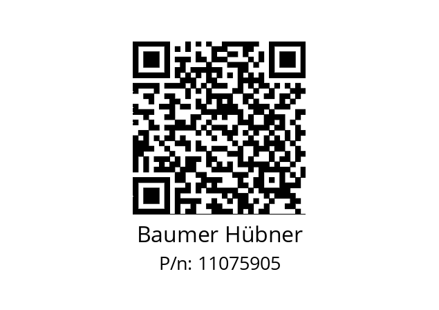   Baumer Hübner 11075905