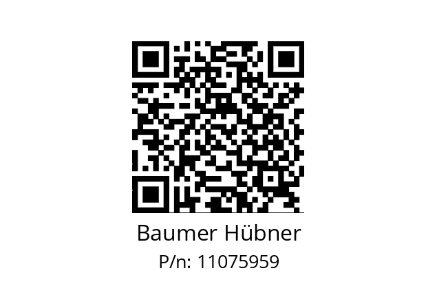   Baumer Hübner 11075959