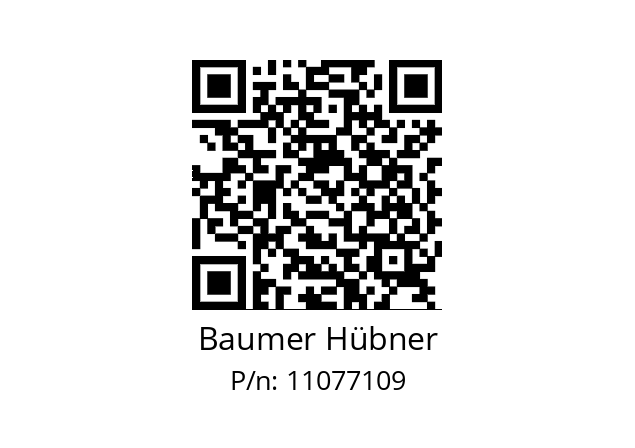   Baumer Hübner 11077109