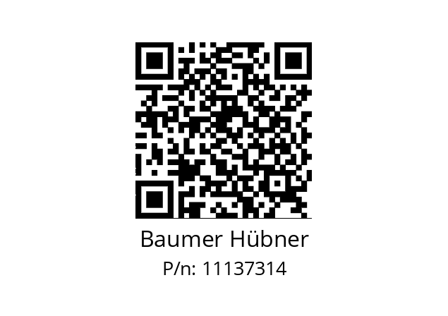   Baumer Hübner 11137314