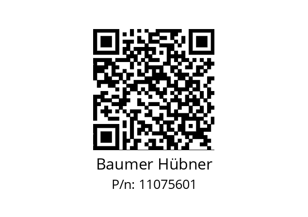   Baumer Hübner 11075601