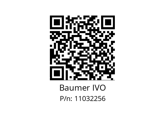   Baumer IVO 11032256