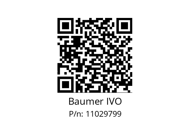   Baumer IVO 11029799