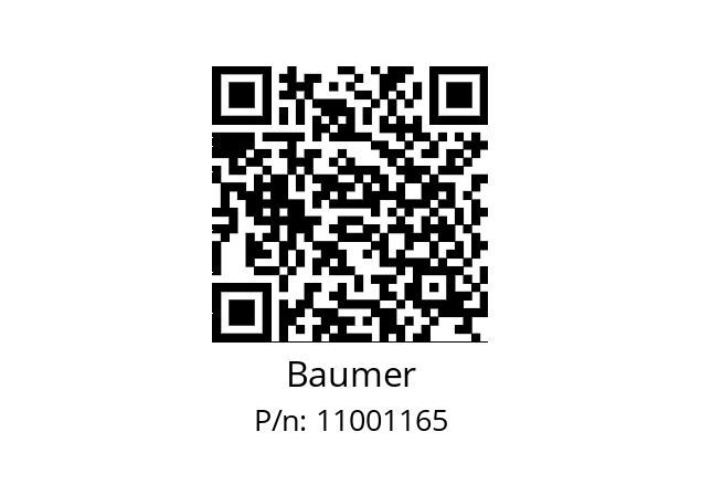   Baumer 11001165