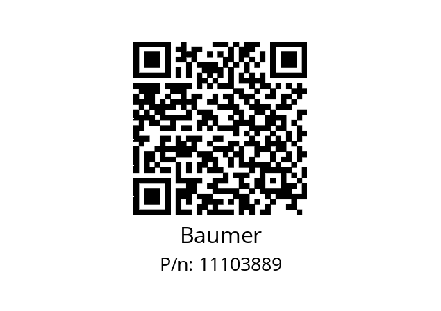   Baumer 11103889