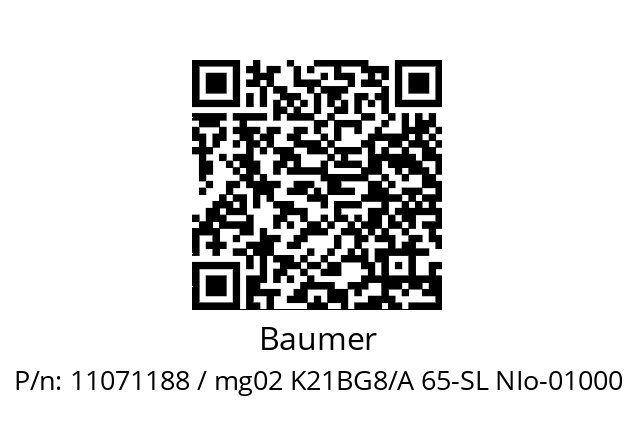   Baumer 11071188 / mg02 K21BG8/A 65-SL NIo-01000