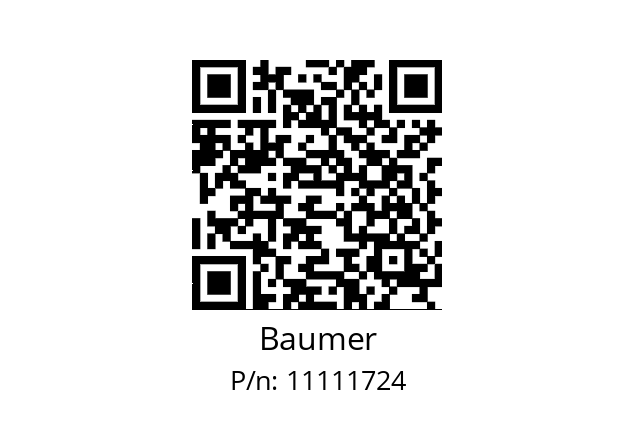   Baumer 11111724