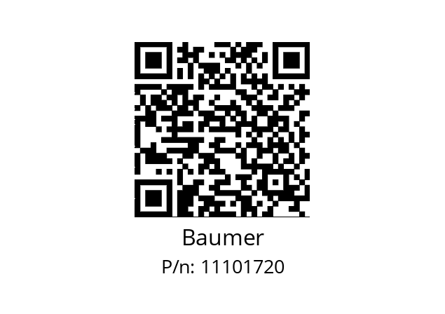   Baumer 11101720