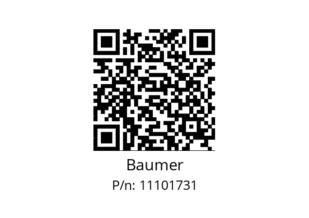   Baumer 11101731