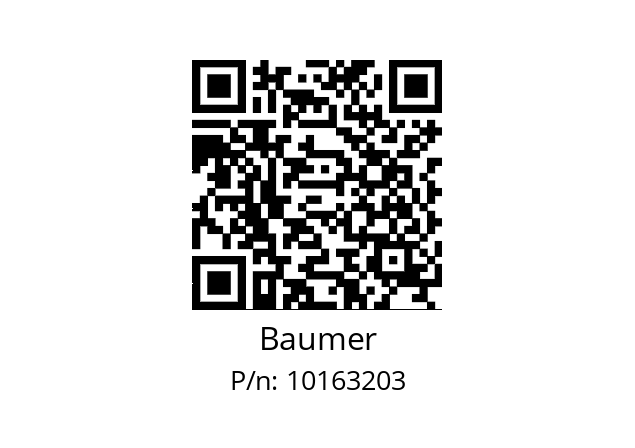   Baumer 10163203