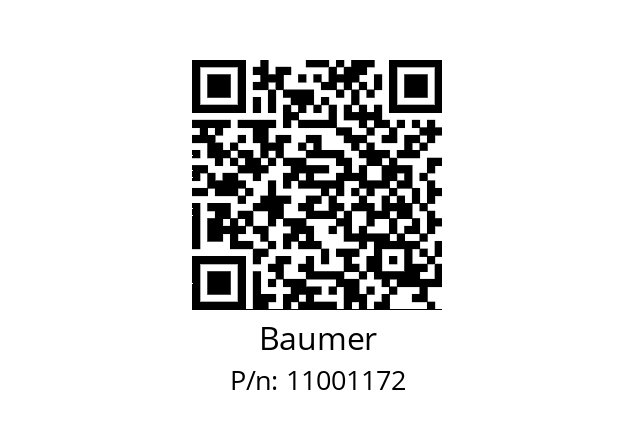   Baumer 11001172