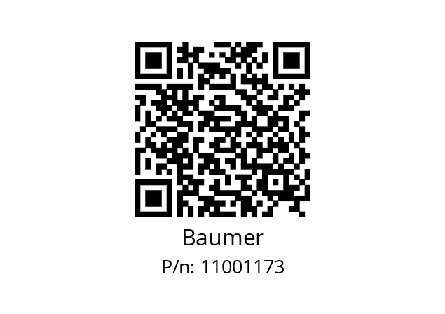   Baumer 11001173