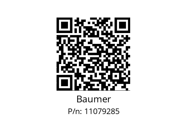   Baumer 11079285