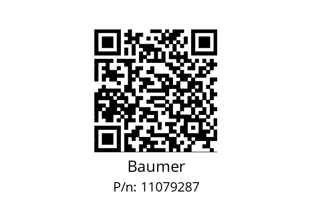   Baumer 11079287