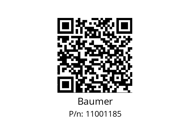   Baumer 11001185