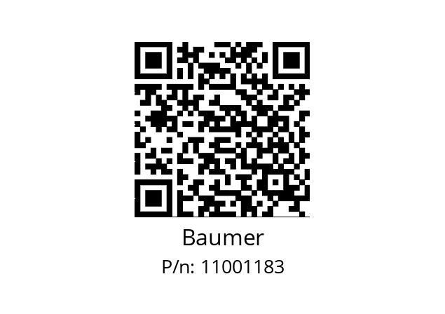   Baumer 11001183