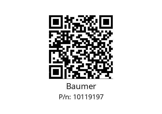   Baumer 10119197