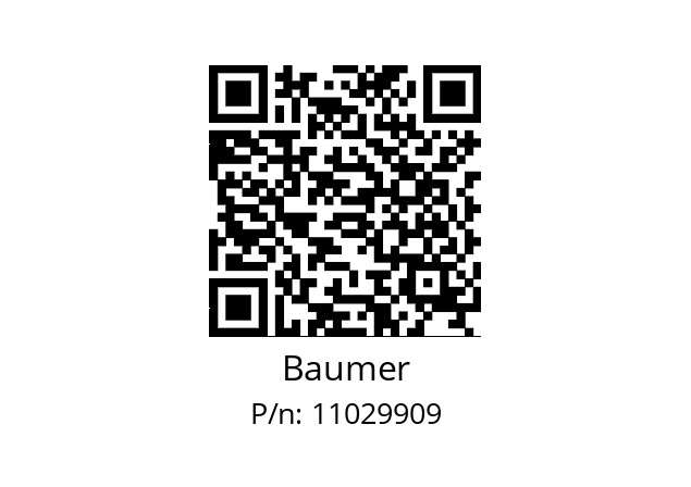  G0M2H.4902102 Baumer 11029909