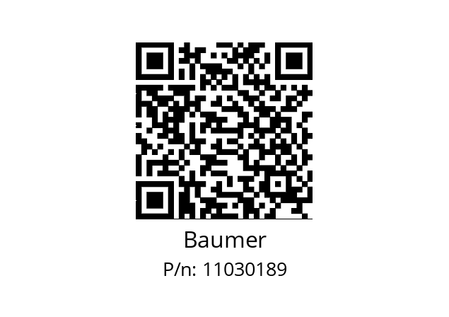  GA241.B302105 Baumer 11030189