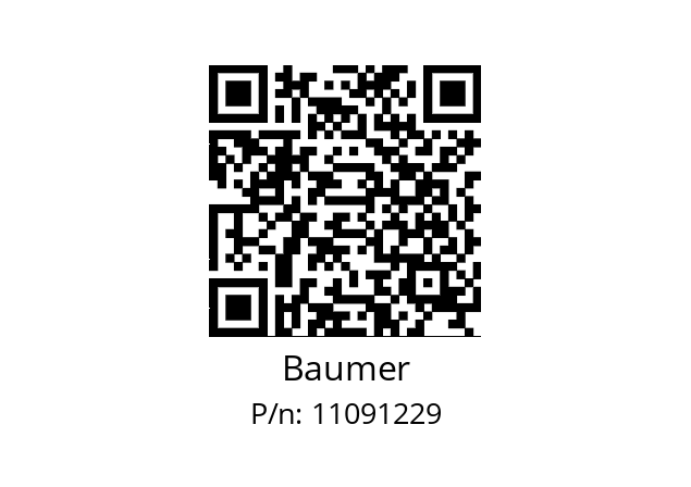  GM401.B302102 Baumer 11091229