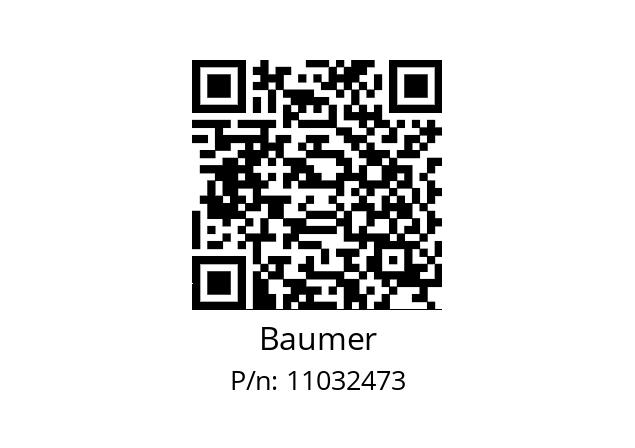   Baumer 11032473