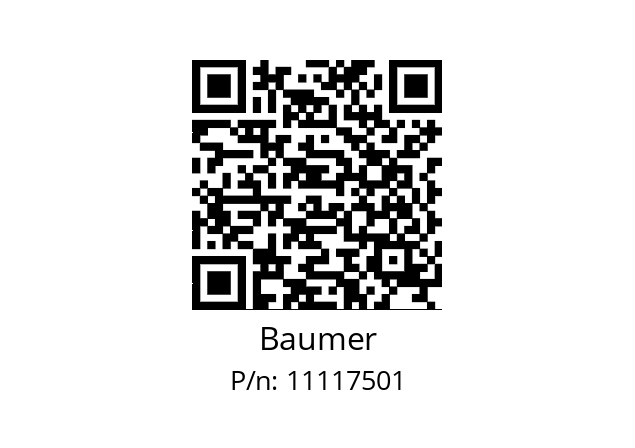   Baumer 11117501