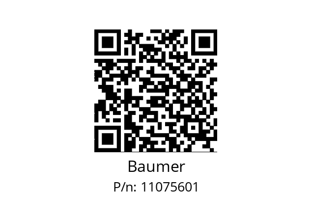   Baumer 11075601