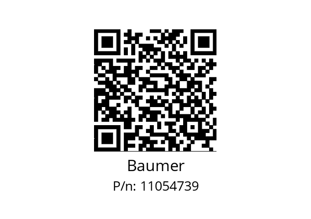   Baumer 11054739